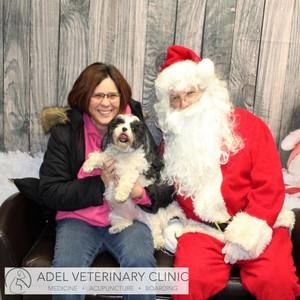 Meet your Posher, Tonya